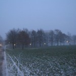IMG_5554
