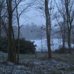 IMG_5557